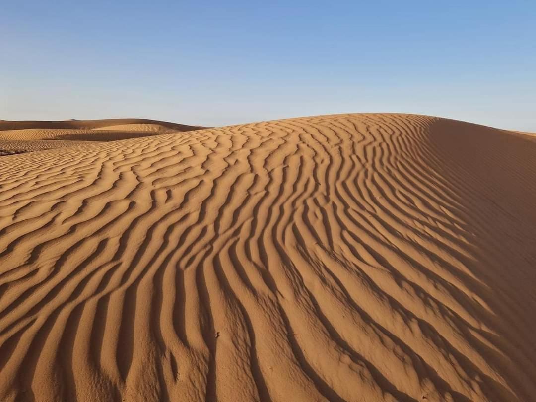 Bivouac Camel Trips Ξενοδοχείο Merzouga Εξωτερικό φωτογραφία