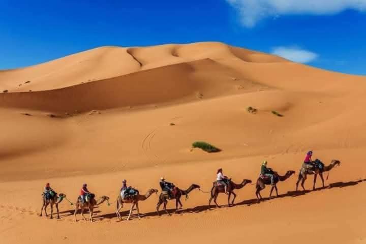 Bivouac Camel Trips Ξενοδοχείο Merzouga Εξωτερικό φωτογραφία