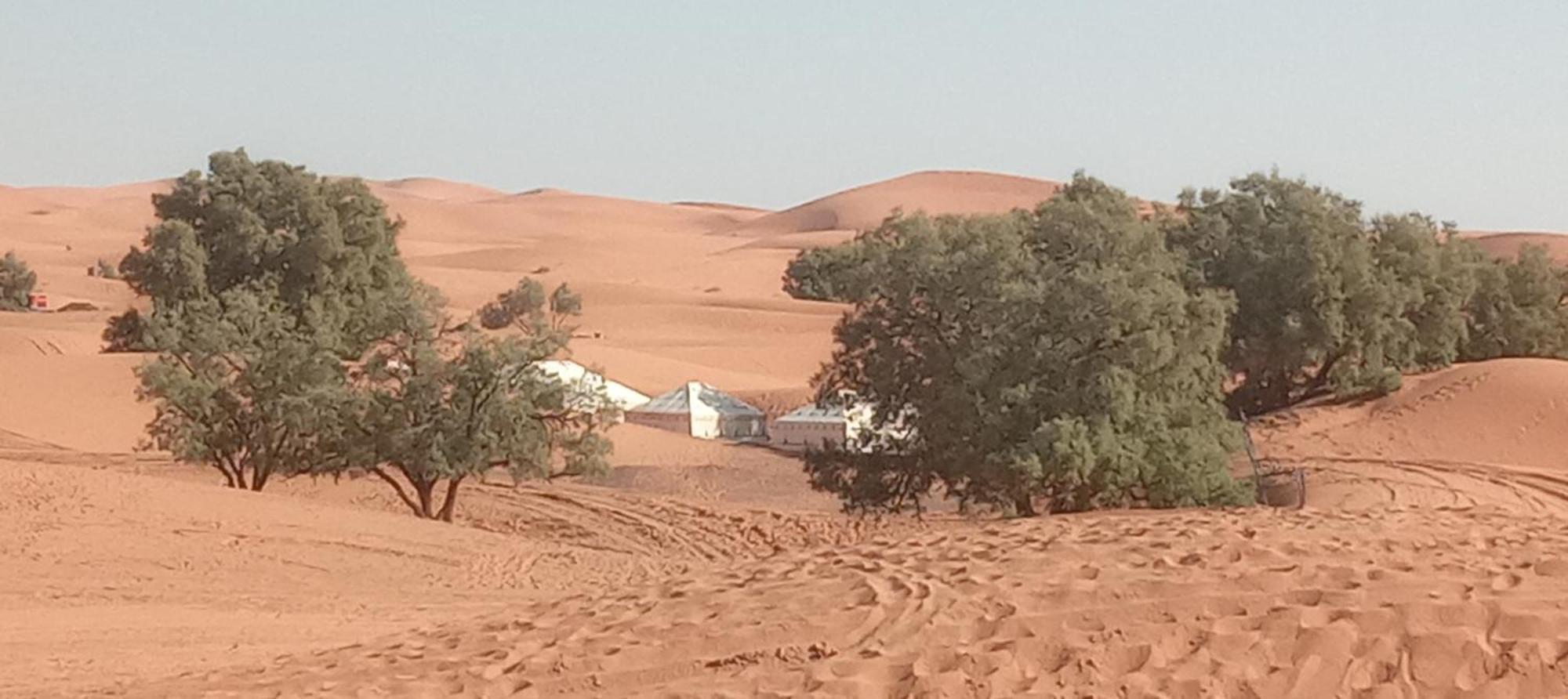 Bivouac Camel Trips Ξενοδοχείο Merzouga Εξωτερικό φωτογραφία