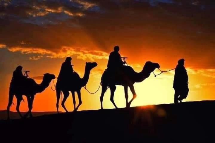 Bivouac Camel Trips Ξενοδοχείο Merzouga Εξωτερικό φωτογραφία