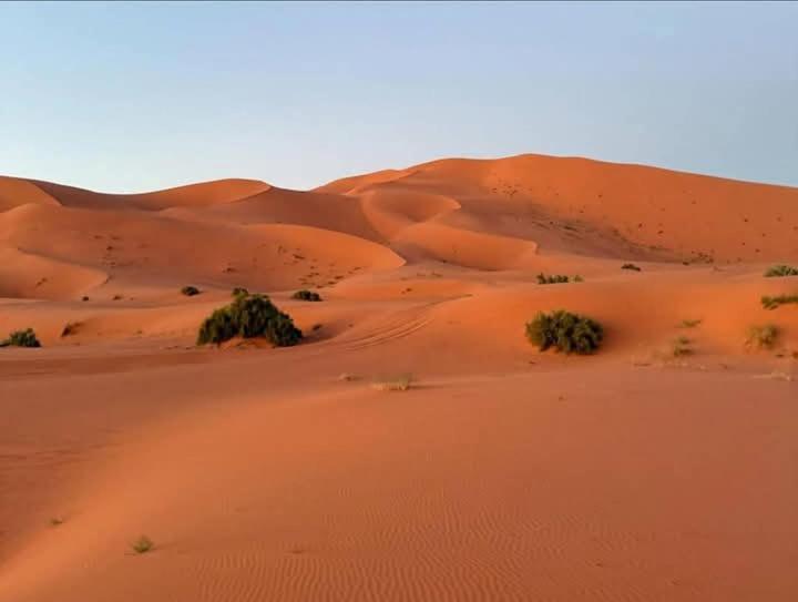 Bivouac Camel Trips Ξενοδοχείο Merzouga Εξωτερικό φωτογραφία