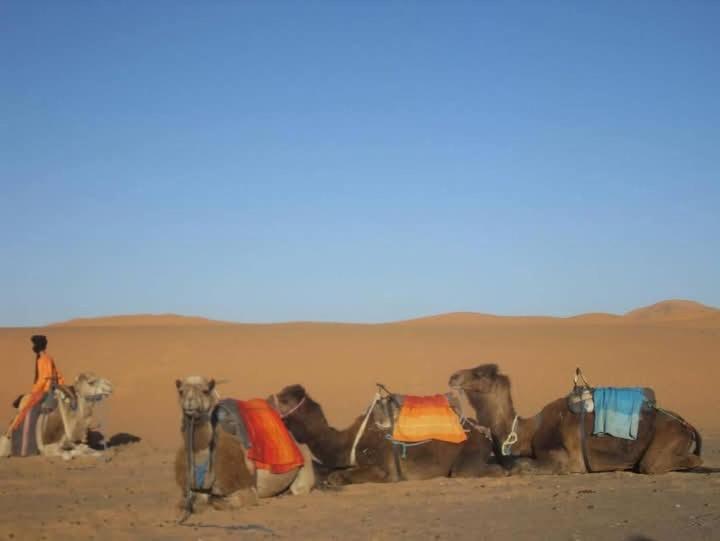 Bivouac Camel Trips Ξενοδοχείο Merzouga Εξωτερικό φωτογραφία