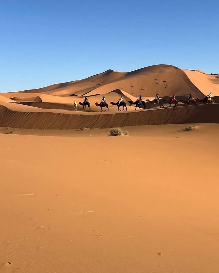 Bivouac Camel Trips Ξενοδοχείο Merzouga Εξωτερικό φωτογραφία